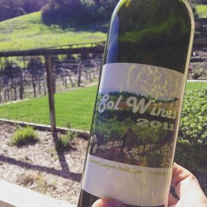 Bottle of Sol Wine Ayele's family wine pictured in front of the vineyard