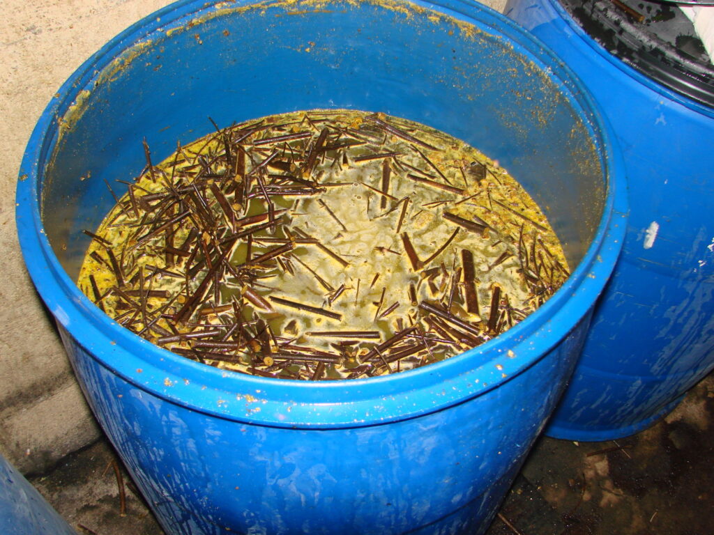 Wild Fermentation with Gesho (Balderas, Addis Abeba 2010)