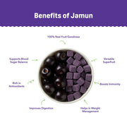 Natible Jamun Freeze Dried – Naturally Fruity Snack