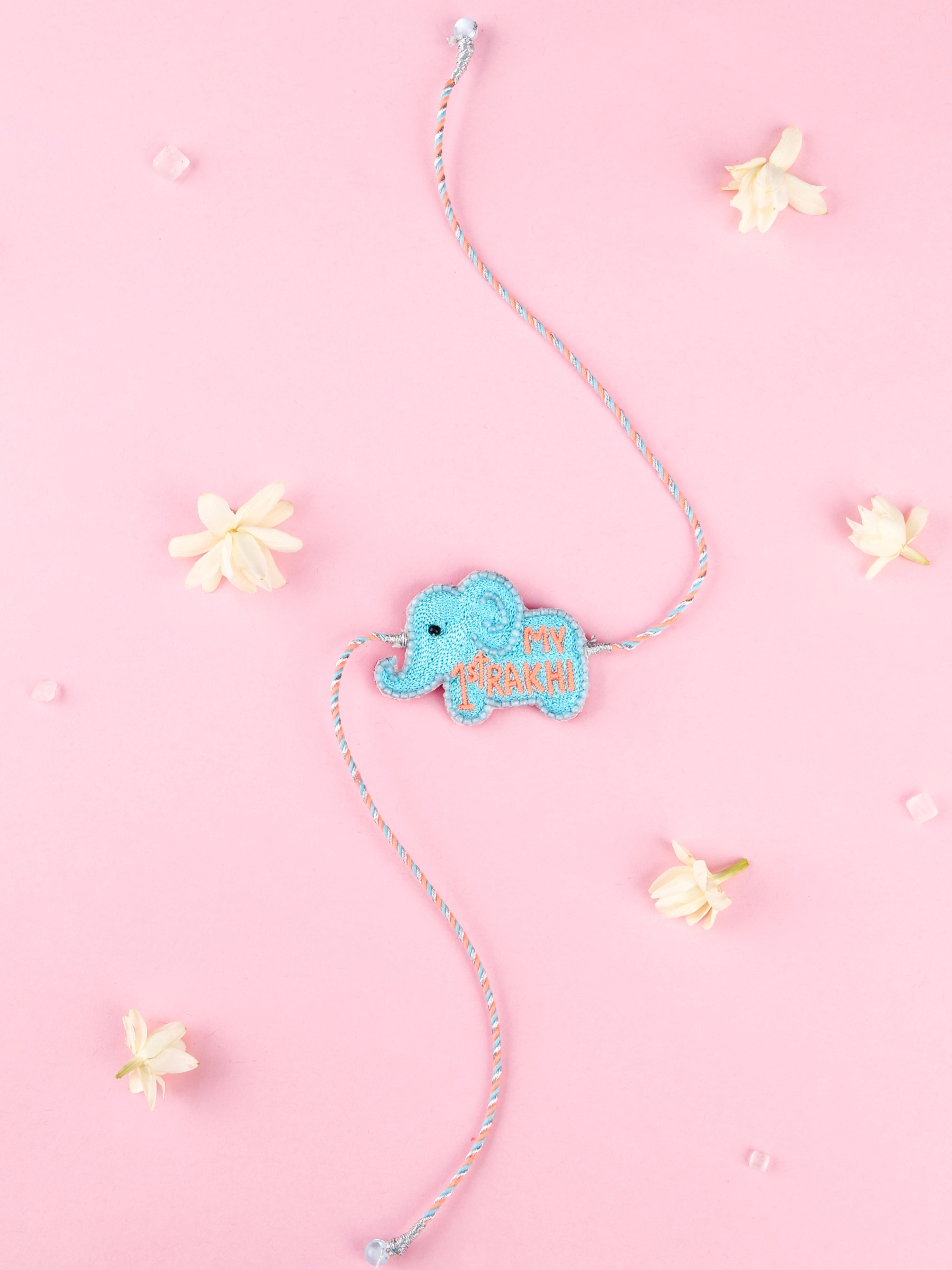 tonoto-my-1st-rakhi-elephant