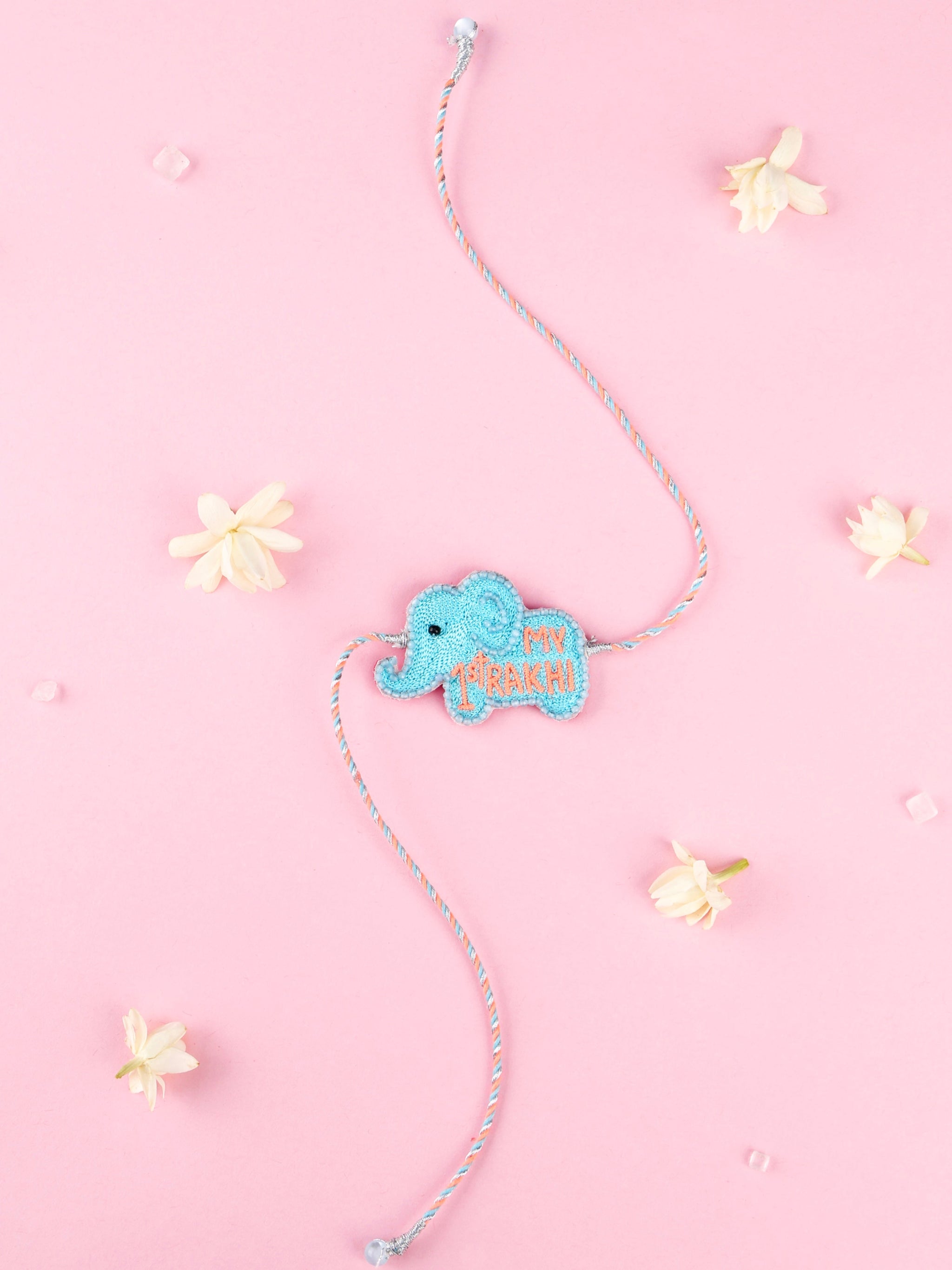 tonoto-my-1st-rakhi-elephant