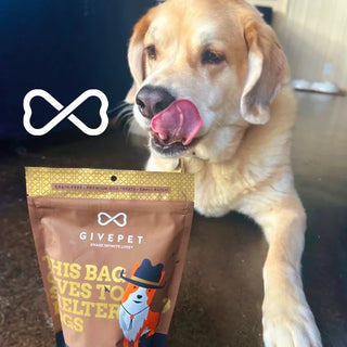 Celebrate National Adopt a Shelter Pet Day with GivePet – and a Whole Lot of Treats!
