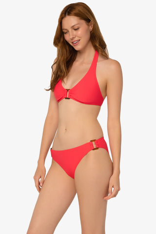 Tortoise Halter  |  Ginger