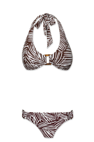 tortoise-hipster-paradise-palm-4